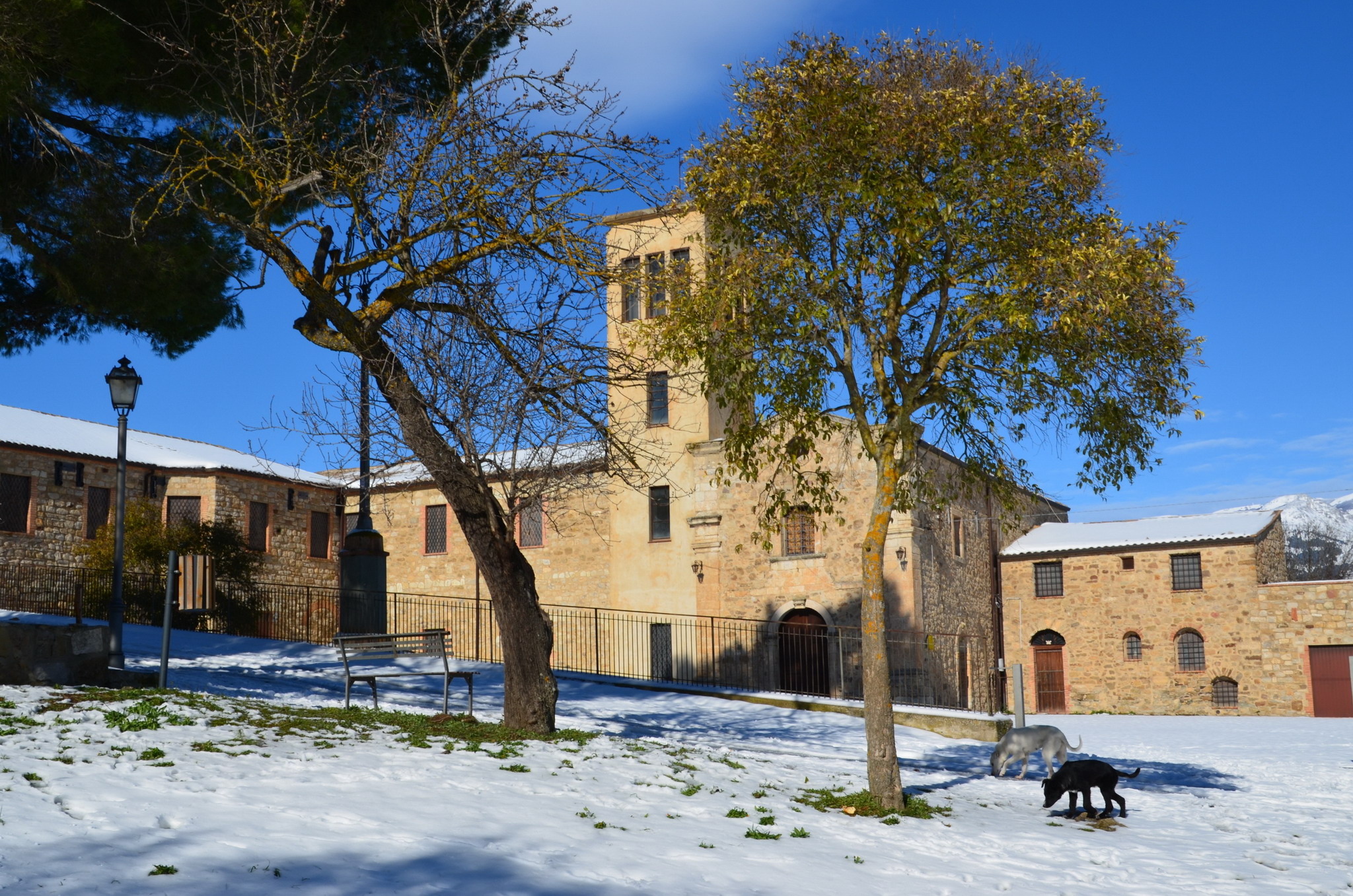 Festa della Madonna dell’Olio